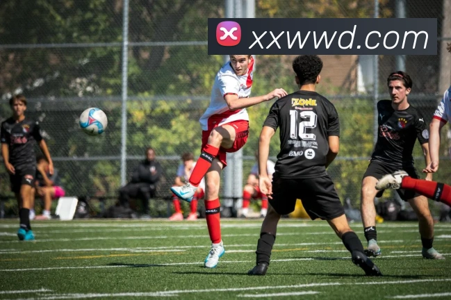 问鼎娱乐发展历程